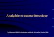 Analgésie et trauma thoracique Cyril Besnard. DESC réanimation médicale. Marseille. Février 2004