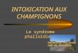 INTOXICATION AUX CHAMPIGNONS Le syndrome phalloïdien Gardellin Marianne CHU de Grenoble