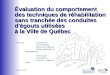 Évaluation du comportement des techniques de réhabilitation sans tranchéedes conduites d'égouts utilisées à la Ville de Québec Évaluation du comportement