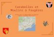 Carabelles et Moulins à Faugères Situés dans le département de Hérault Région Languedoc-Roussillon France