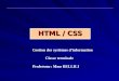 HTML / CSS Gestion des systèmes dinformation Classe terminale Professeur: Mme BELLILI
