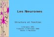 Les Neurones Structure et Fonction G.Burgess 2001 Traduite: K Williams 2008 Édité: S MacInnes