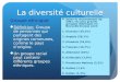 La diversité culturelle Groupe ethnique Définition: Groupe de personnes qui partagent des origines communes, comme le pays dorigine. Un groupe racial peut