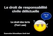 Le droit de responsabilité civile délictuelle Le droit des torts (Tort Law) Expression idiomatique: Avoir tort Jai eu tort
