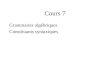 Cours 7 Grammaires algébriques Constituants syntaxiques