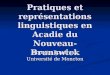 Pratiques et représentations linguistiques en Acadie du Nouveau-Brunswick Annette Boudreau Université de Moncton