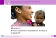 ORGANISATION INTERNATIONALE DU TRAVAIL Service des conditions de travail et demploi (TRAVAIL) 2012 Kit de ressources sur la protection de la maternité