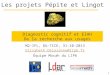 1 Les projets Pépite et Lingot M2-IFL, DU-TICE, 31-10-2013 Elisabeth.Delozanne@lip6.fr Équipe Mocah du LIP6 Diagnostic cognitif et EIAH De la recherche