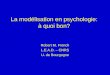 La modélisation en psychologie: à quoi bon? Robert M. French L.E.A.D. – CNRS U. de Bourgogne