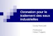 Ozonation pour le traitement des eaux industrielles Curdy Romuald Professeur: César Pulgarin