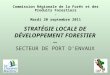 STRATÉGIE LOCALE DE DÉVELOPPEMENT FORESTIER -- SECTEUR DE PORT DENVAUX Commission Régionale de la Forêt et des Produits Forestiers - Mardi 20 septembre
