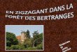 Diaporama de Jacky Questel Forêt des Bertranges – Nièvre (58)