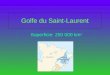 Golfe du Saint-Laurent Superficie: 250 000 km ² Situation géographique Le golfe touche cinq des dix provinces canadiennes: -Le Québec -Lîle du Prince-Édouard