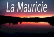 La Mauricie a une superficie de 40 000 km2. Dans la Mauricie on peut voir de nombreuses forêts boréales en plus de barrages hydroélectriques et des