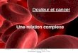 06/06/2014Douleur et Cancer IFSI Montbéliard Janvier 2009 C.Roy C.Colli 1 Douleur et cancer Une relation complexe