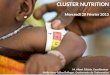 CLUSTER NUTRITION Mercredi 20 Février 2013 M. Albert Tshiula, Coordinateur Melle Anne-Céline Delinger, Gestionnaire de lInformation