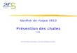 Gestion du risque 2013 Prévention des chutes (2) Dr Christine Chansiaux / Dr Jean-Philippe Flouzat