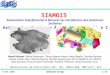19/01/2006Séminaire du SAp1/28 SIAMOIS Sismomètre Interférentiel A Mesurer les Oscillations des Intérieurs Stellaires Astérosismologie en Antarctique