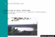 VIRELLES-NATURE asbl PRESENTATION DU PROJET ORTHO-2004 Etude du bassin versant via lapproche entomologique … Les ORTHOPTERES Olivier.baudry@mail.be