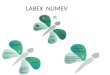 LABEX NUMEV. Initiative dexcellence de Montpellier - 22.10.2010 Labex NUMEV LABEX Porteur : Michel ROBERT Un potentiel MIPS reconnu (Math., Informatique,