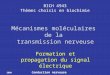 2008 Conduction nerveuse BICH 4943 Thèmes choisis en biochimie Formation et propagation du signal électrique Mécanismes moléculaires de la transmission