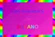 Les couleurs de BURANOBURANO Avancement automatique