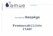Formation Harpège Promouvabilités ITARF. Harpège/Promouvabilités ITARF Contrairement aux apparences, nous sommes le 4 mai 2004 ! Assurez-vous que lensemble