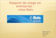 Rapport de stage en entreprise : chez Bals Bessard Ronan 3°5