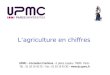 Lagriculture en chiffres UPMC – Formation Continue - 4, place Jussieu 75005 Paris - Tél. : 01 53 10 43 20 – Fax : 01 53 10 43 30 – 