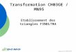 Transformation CH03GE / MN95 Etablissement des triangles FINELTRA Séance dinfo DCMO/AGG/SPM 2.12.2004