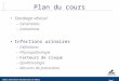 CENTRE HOSPITALIER UNIVERSITAIRE DE NANTES Page 1 Plan du cours Sondage vésical –Généralités –Indications Infections urinaires –Définitions –Physiopathologie
