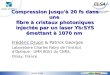 JNOG 2004 Compression jusqu'à 20 fs dans une fibre à cristaux photoniques injectée par un laser Yb:SYS émettant à 1070 nm Frédéric Druon & Patrick Georges