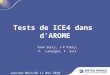 Tests de ICE4 dans dAROME Yann Seity, J-P Pinty, P. Lavergne, F. Saix Journée Méso-NH 11 Mai 2010