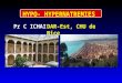 HYPO- HYPERNATREMIES Pr C ICHAIDAR-Est, CHU de Nice