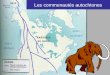 Les communautés autochtones. Le Québec compte deux peuples autochtones: Les Inuits et les Amérindiens ( ou Premières Nations) AlgonquienneIroquoïenne