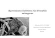 Reconnaissance bactérienne chez Drosophila melanogaster Sébastien PILI-FLOURY Département dAnesthésie-Réanimation CHU Jean Minjoz Besançon