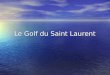 Le Golf du Saint Laurent. Où est le courant du Golfe du Saint-Laurent? Le Golfe du Saint Laurent est situé à lest du Canada, au nord de lIle du Prince