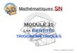 Mathématiques SN MODULE 10 Les IDENTITÉS TRIGONOMÉTRIQUES Réalisé par : Sébastien Lachance