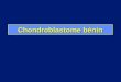 Chondroblastome bénin. Tumeur cartilagineuse bénigne Prédominance masculine (2/3)