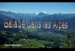 Balade dans les Alpes Avance automatique Les gorges de la Diosaz