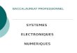 BACCALAUREAT PROFESSIONNEL SYSTEMES ELECTRONIQUES NUMERIQUES