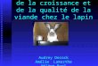 Aspects génétiques de la croissance et de la qualité de la viande chez le lapin Audrey Decock Amélie Lamarthe Hélène Ruel