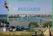 Le Danube est le deuxième plus long cours d'eau dEurope (après la Volga) ( fleuve qui prend sa source en Russie ) et le