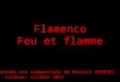 Flamenco Feu et flamme Pochade non commerciale de Bernard GEORGES Cordoue: octobre 2011