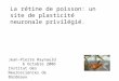 La rétine de poisson: un site de plasticité neuronale privilégié. Jean-Pierre Raynauld 6 Octobre 2006 Institut des Neurosciences de Bordeaux