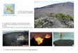 Il y a plusieurs volcans sur lïle de la réunion Le piton de la Fournaise est le seul encore en activité La dernière éruption a eu lieu le 9 décembre 2010
