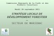 STRATÉGIE LOCALE DE DÉVELOPPEMENT FORESTIER -- SECTEUR DE MARIGNAC Commission Régionale de la Forêt et des Produits Forestiers - Mardi 20 septembre 2011