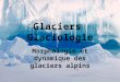 Glaciers Glaciologie Morphologie et dynamique des glaciers alpins