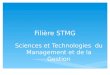 Filière STMG Sciences et Technologies du Management et de la Gestion