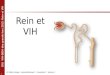 1 DIU VIH-SIDA des grands lacs 2013: Rein et VIH Dr Cédric Arvieux - Université Rennes 1 – Promotion 7 – Session 4 Rein et VIH